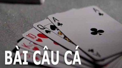 Bài câu cá - Cách đánh bài câu cá chi tiết, hiệu quả cao