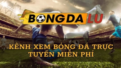 Bongdalu – Cập nhật tin tức thể thao nhanh chóng, chính xác và uy tín