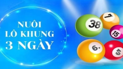 Bạch thủ lô khung 3 ngày - Hướng dẫn cách nuôi hiệu quả nhất