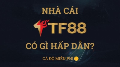 Tf88 - Trải nghiệm cá cược đỉnh cao, thắng lớn dễ dàng